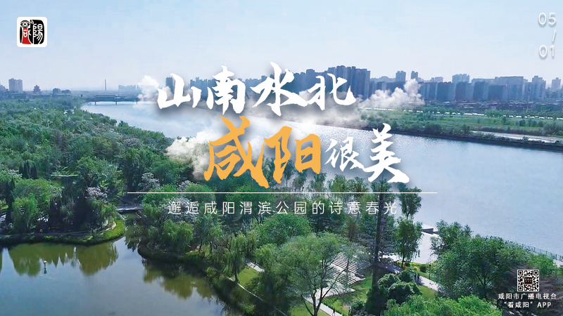 【直播】山南水北 咸阳很美 | 漫步云端 邂逅咸阳渭滨公园的诗意春光