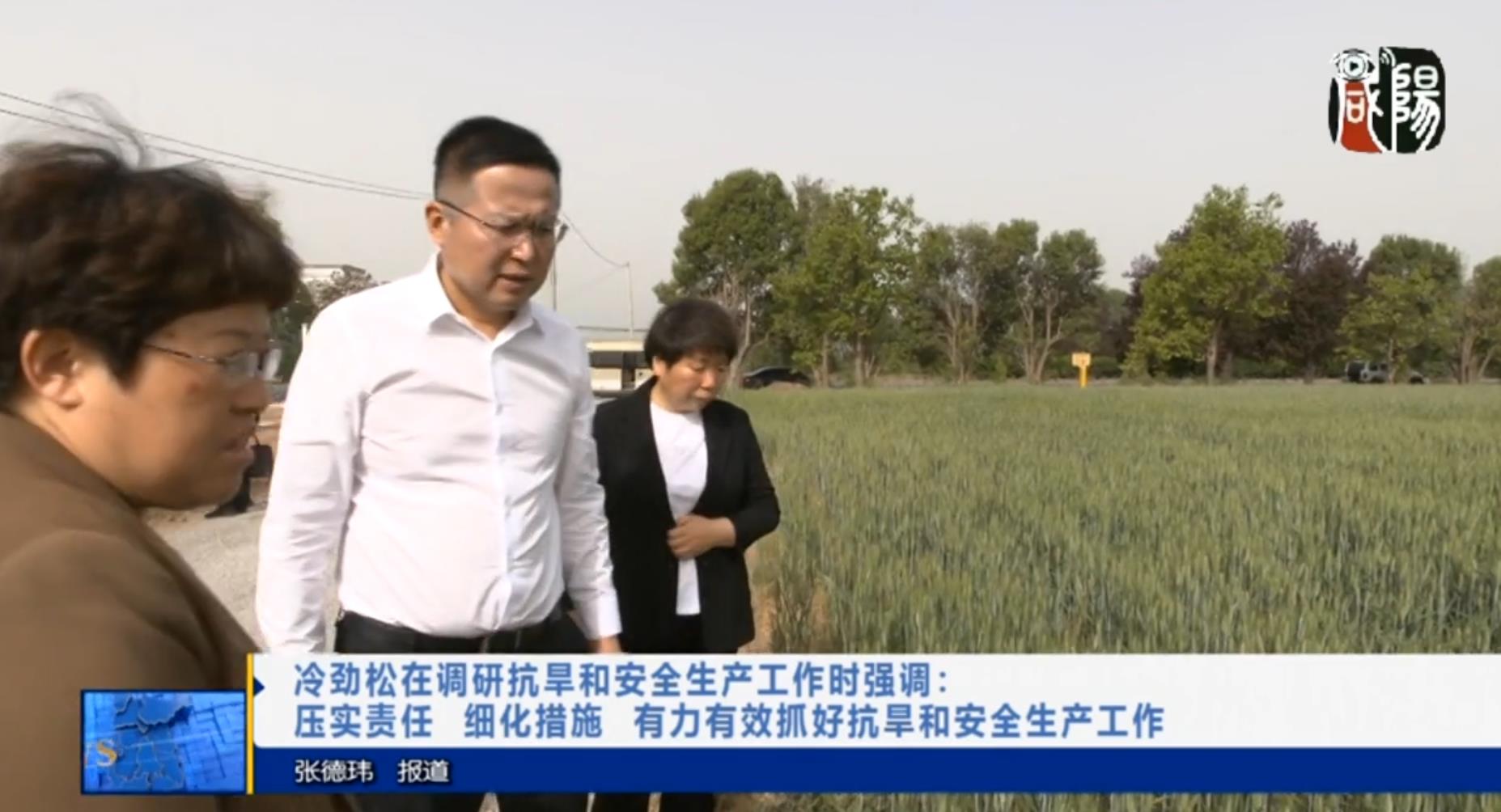 【视频新闻】冷劲松在调研抗旱和安全生产工作时强调：压实责任 ...