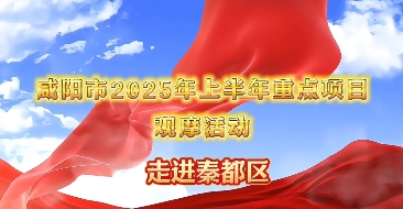 重点项目观摩｜【视频】产业“朋友圈”扩大！秦都这个项目吸引上...