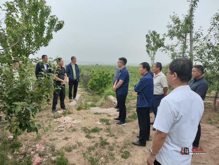 彬州市龙高镇赴义门镇观摩学习集体产业园管理