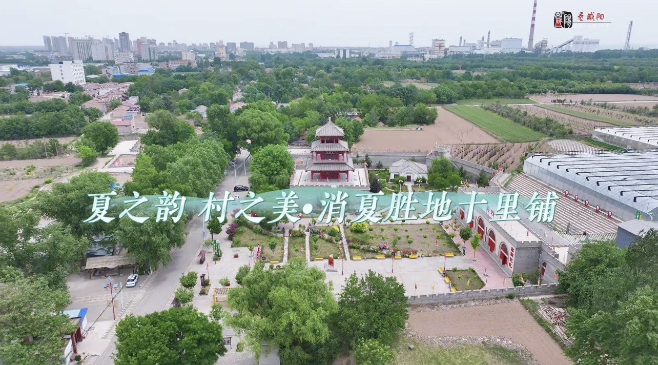 【视频】夏之韵 村之美 消夏胜地十里铺