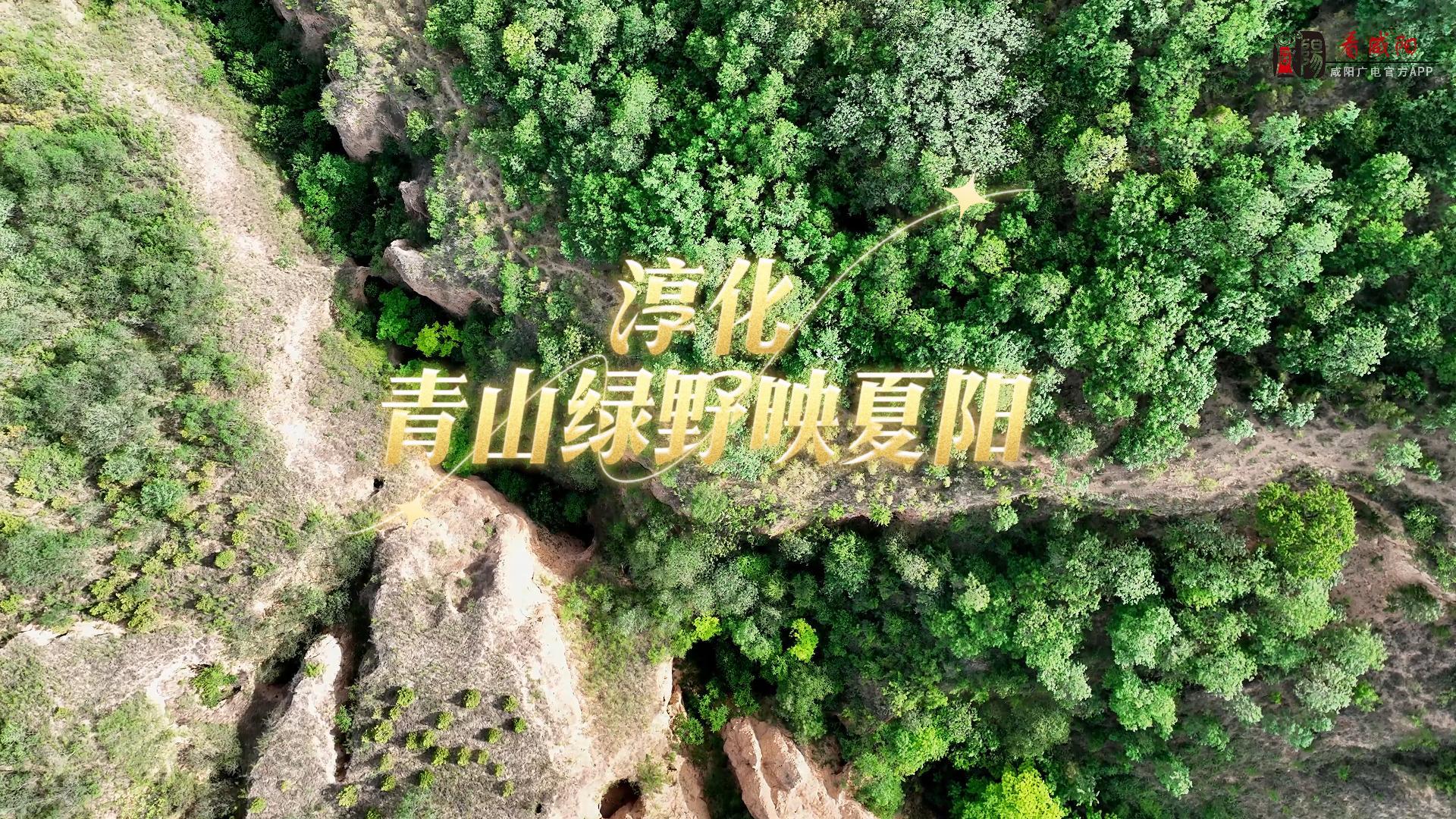 【视频】走进大美咸阳 | 淳化：青山绿野映夏阳