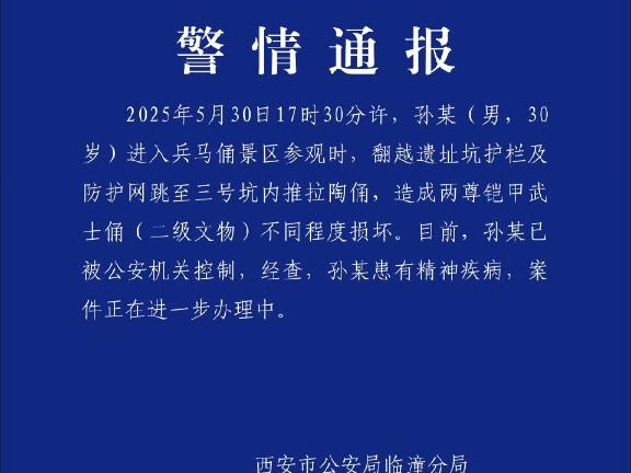 一男子跳进兵马俑坑造成损坏 警方通报情况