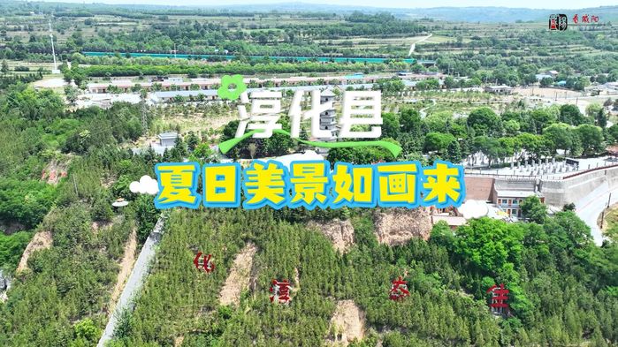 【视频】走进大美咸阳 | 淳化：夏日美景入画来
