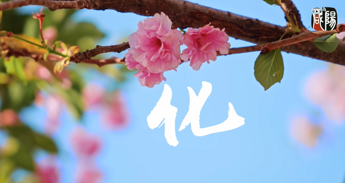 【视频】走进大美咸阳 | 彬州：藏在风景里的野生汉字 