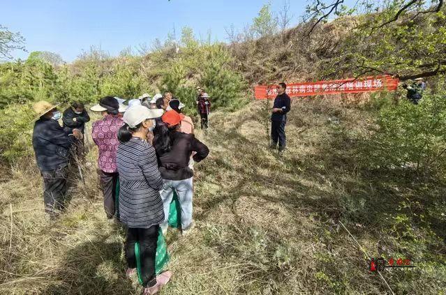 彬州市森防站扎实开展害鼠防治工作