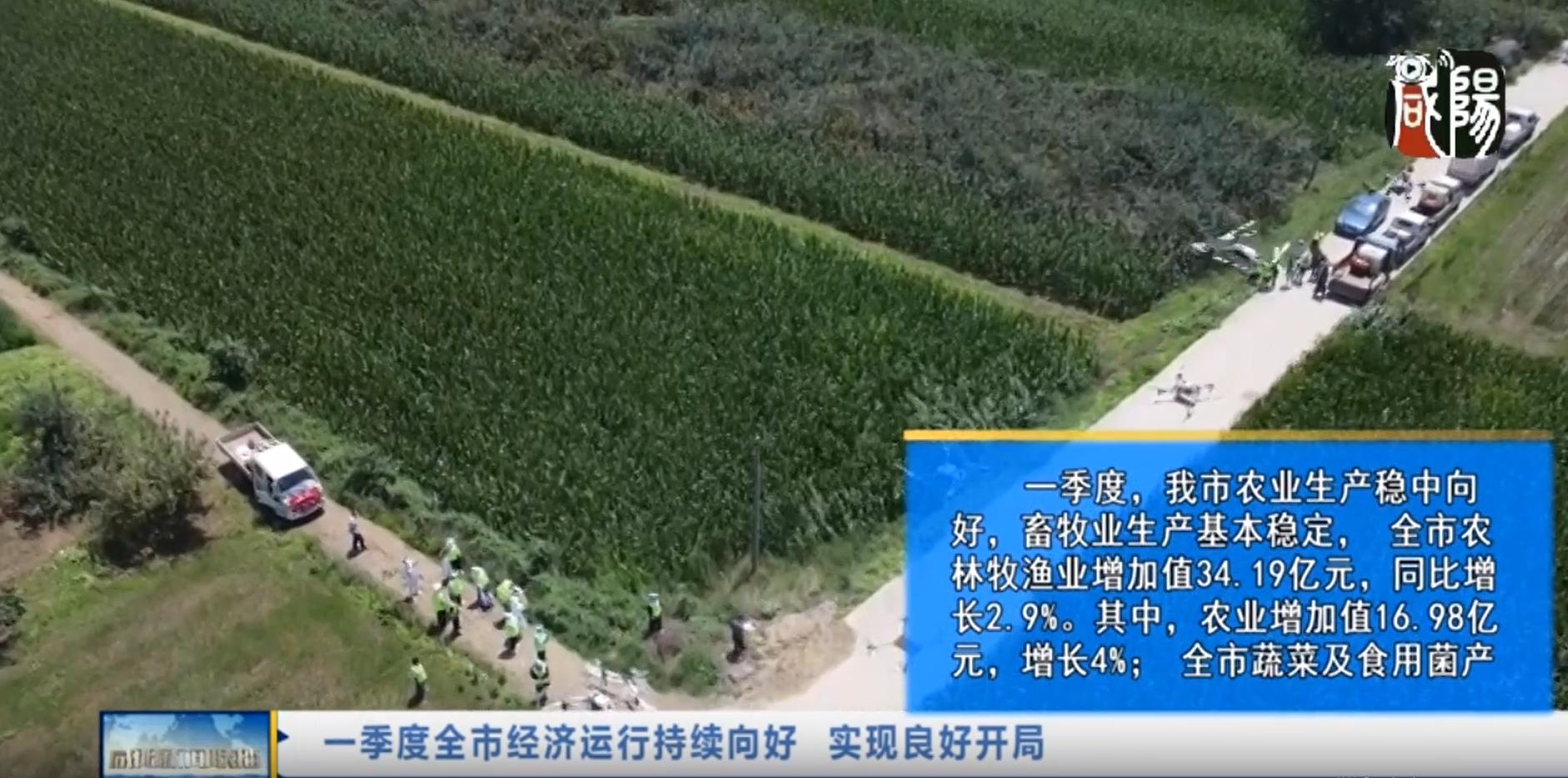 【视频新闻】一季度全市经济运行持续向好  实现良好开局