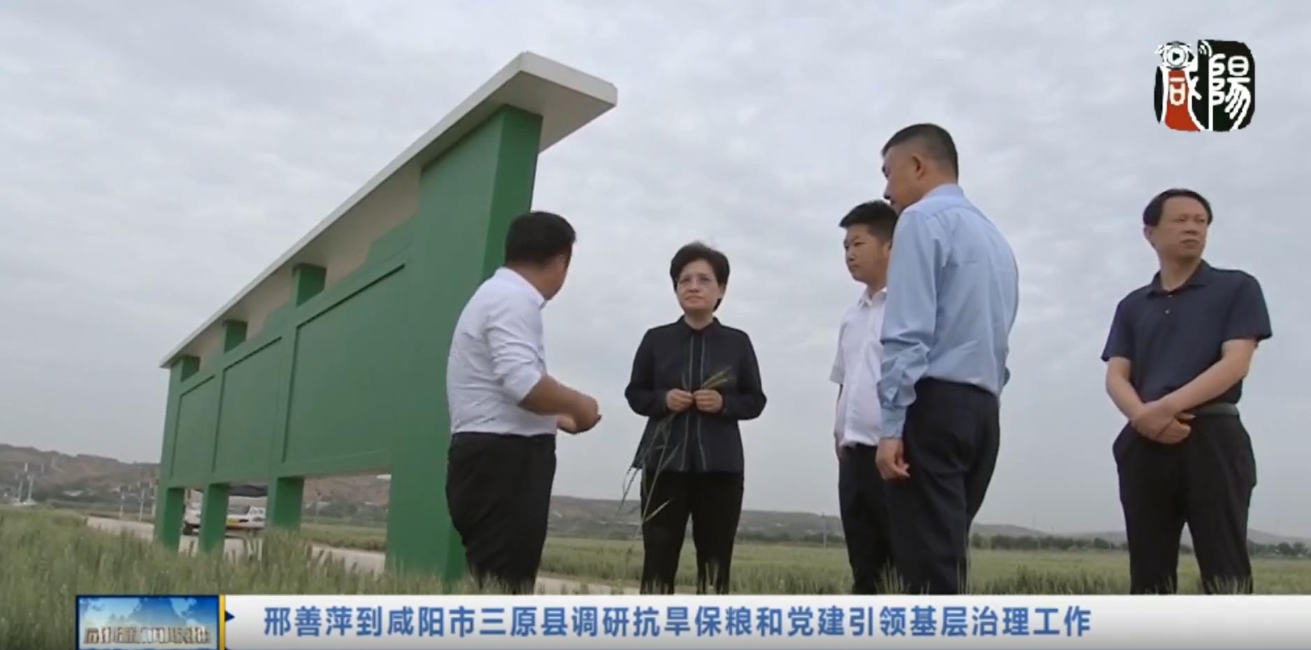 【视频新闻】邢善萍到咸阳市三原县调研抗旱保粮和党建引领基层治...