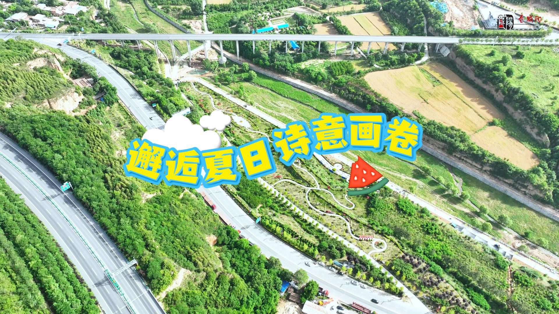 【视频】走进大美咸阳 | 淳化：邂逅夏日诗意画卷