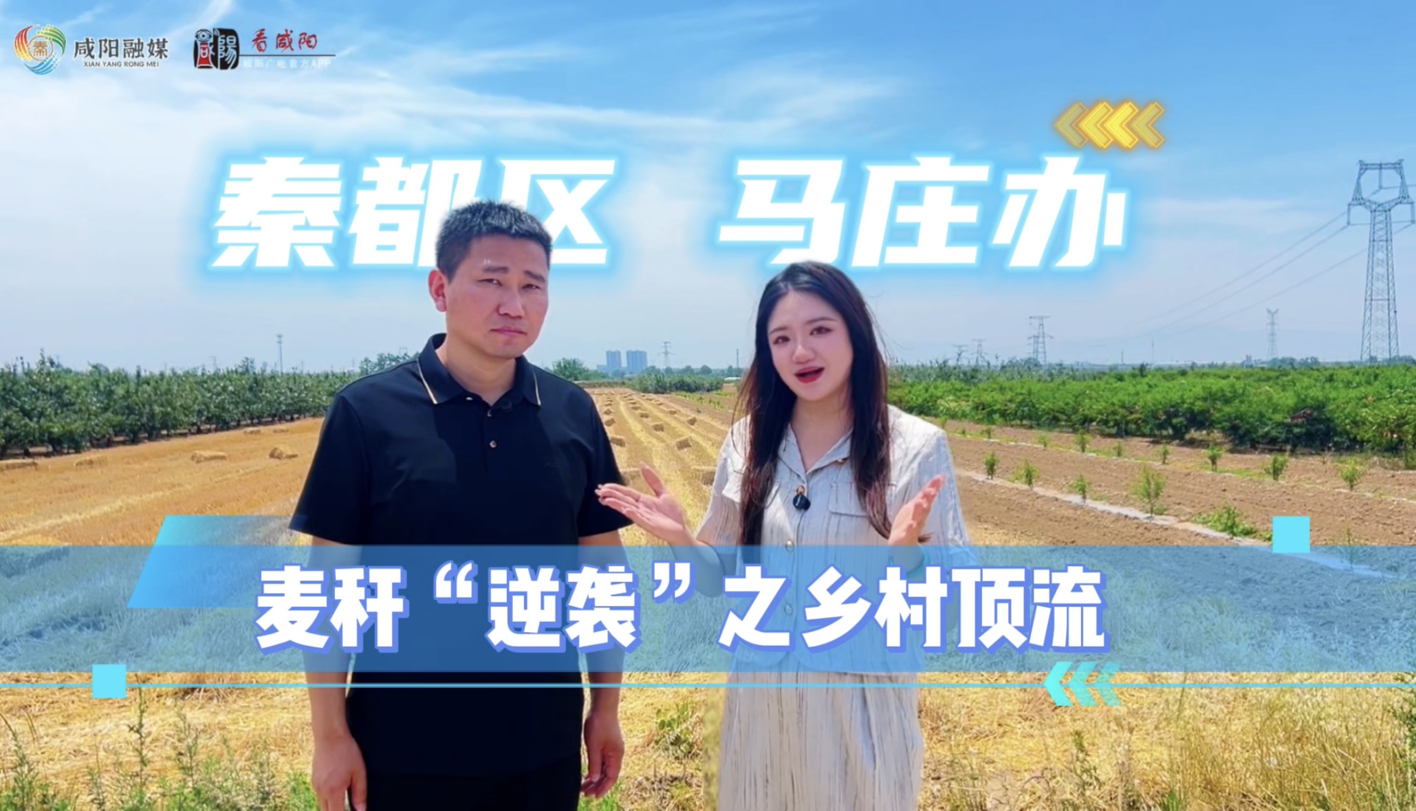 【视频】秦都区马庄办：秸秆“逆袭”之乡村顶流