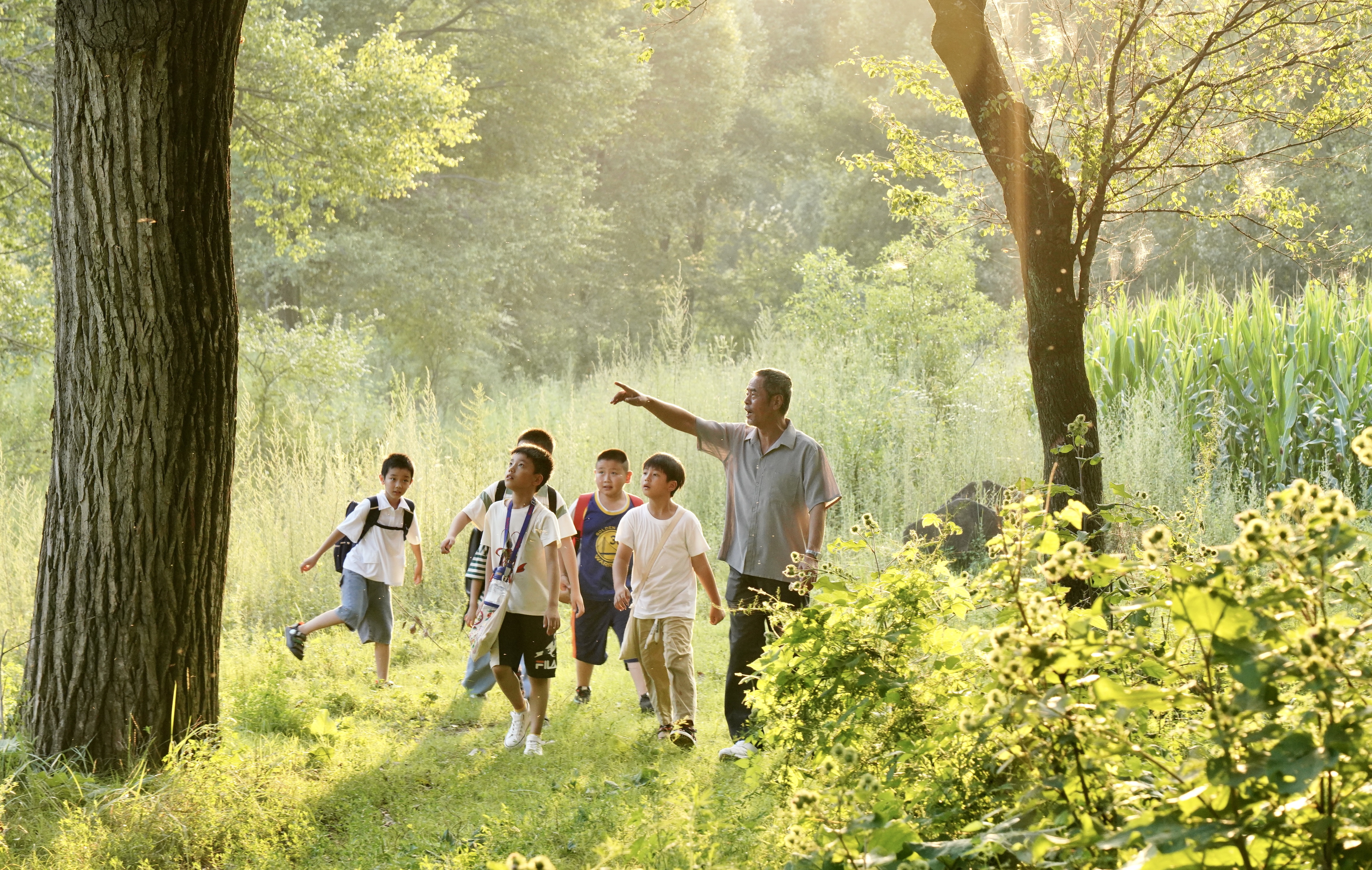 电影《立冬的夏天》6月16日定档爱奇艺独播