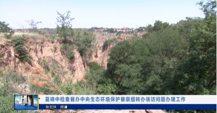 【视频新闻】夏晓中检查督办中央生态环境保护督察组转办信访问题...