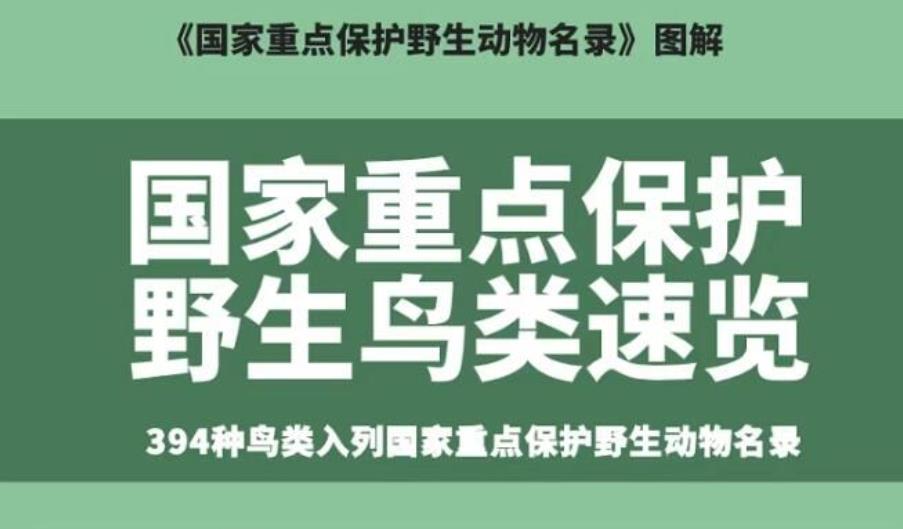 一图速览 | 394种鸟类入列国家重点保护野生动物名录