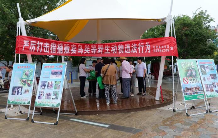 礼泉县：凝聚宣传合力 构筑野生动物保护防线