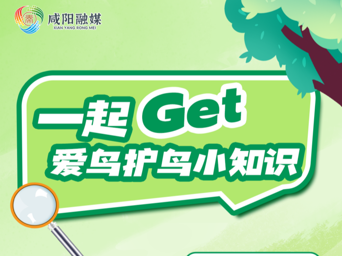 海报 | 一起Get爱鸟护鸟小知识