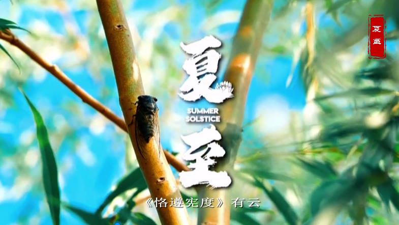 【视频】节气有约 | 中国传统文化二十四节气——夏至
