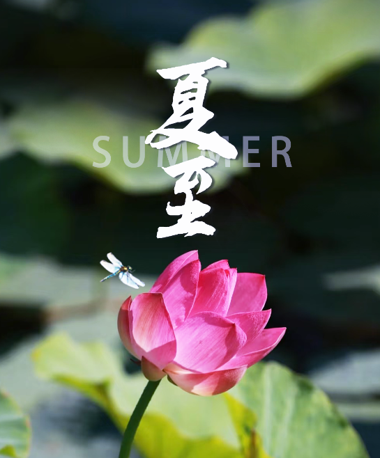 海报 | 今日夏至 
