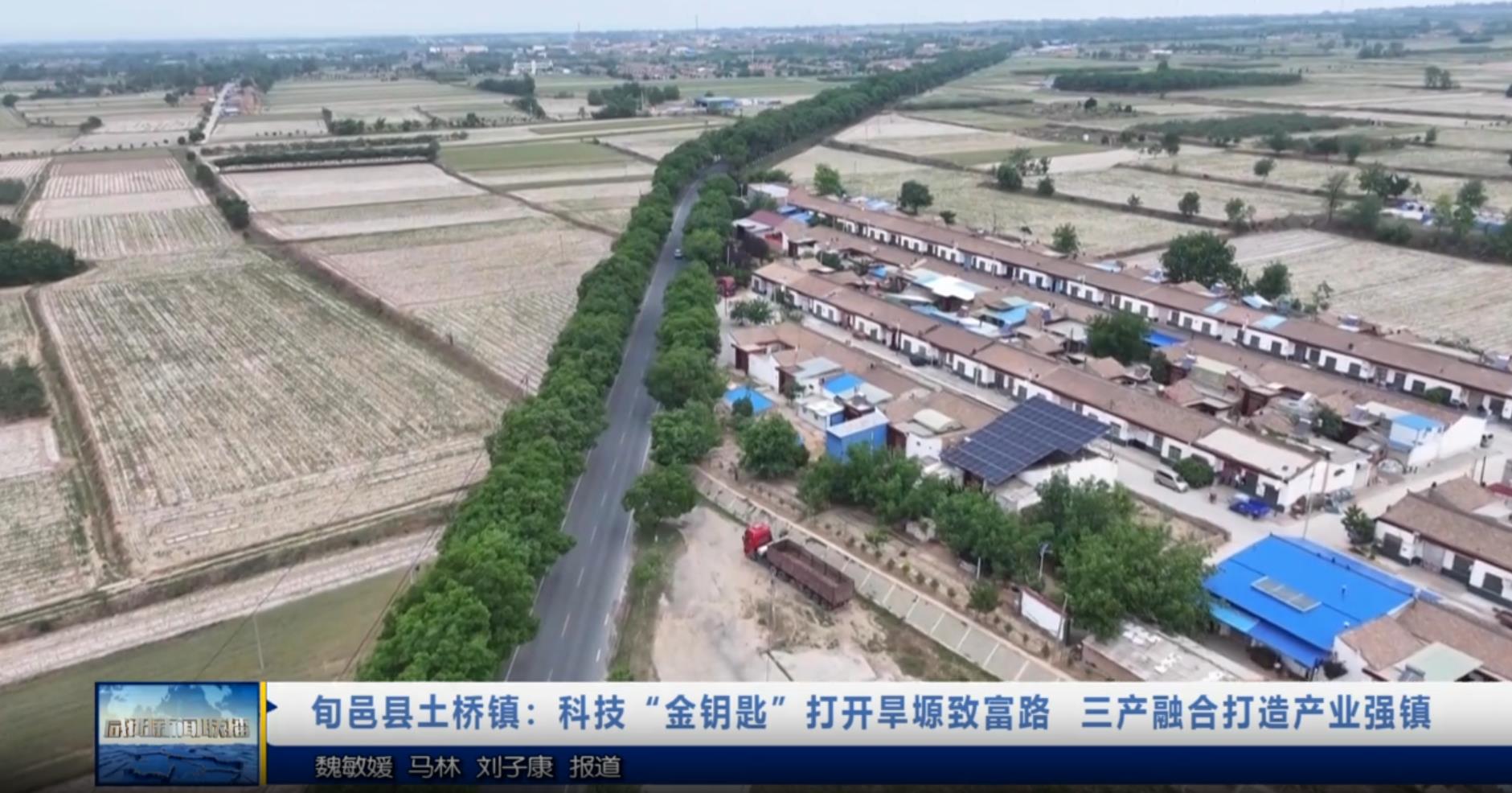 【视频新闻】旬邑县土桥镇：科技“金钥匙”打开旱塬致富路  三产...