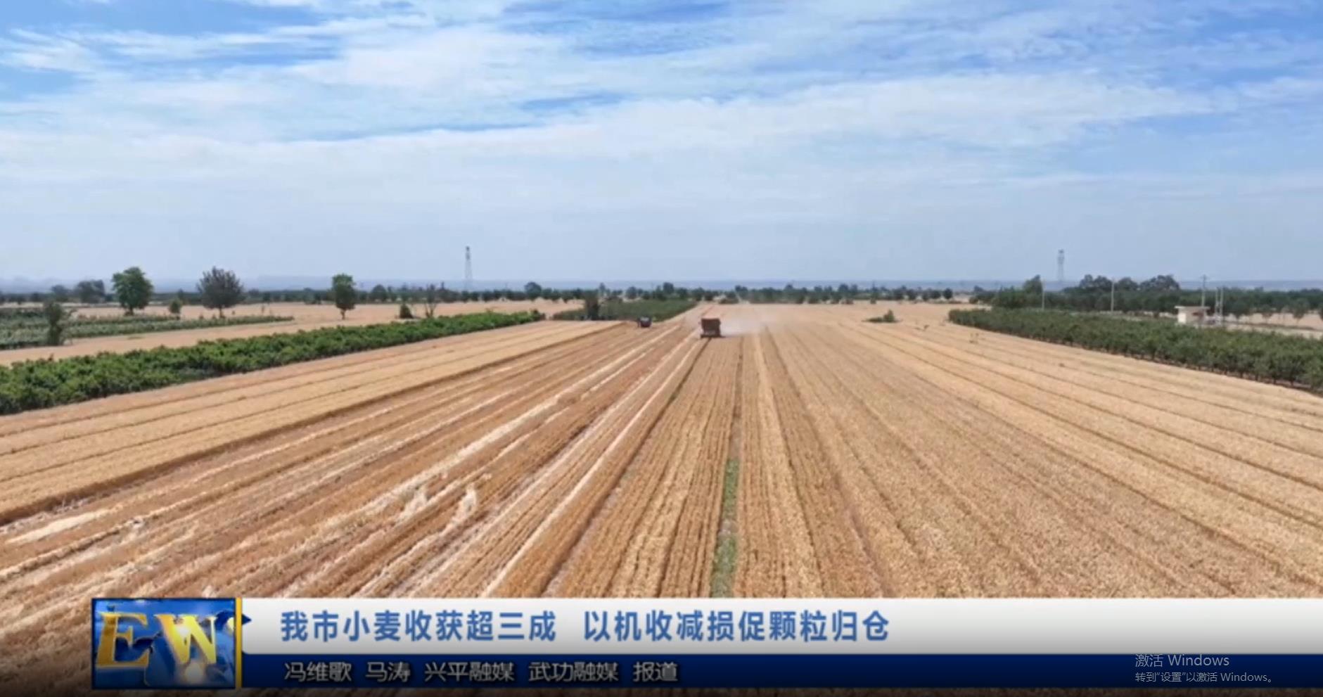 【视频新闻】我市小麦收获超三成 以机收减损促颗粒归仓
