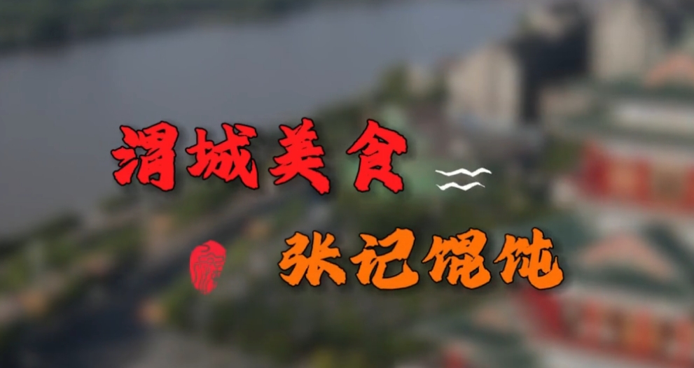 【视频】渭城美食·张记馄饨