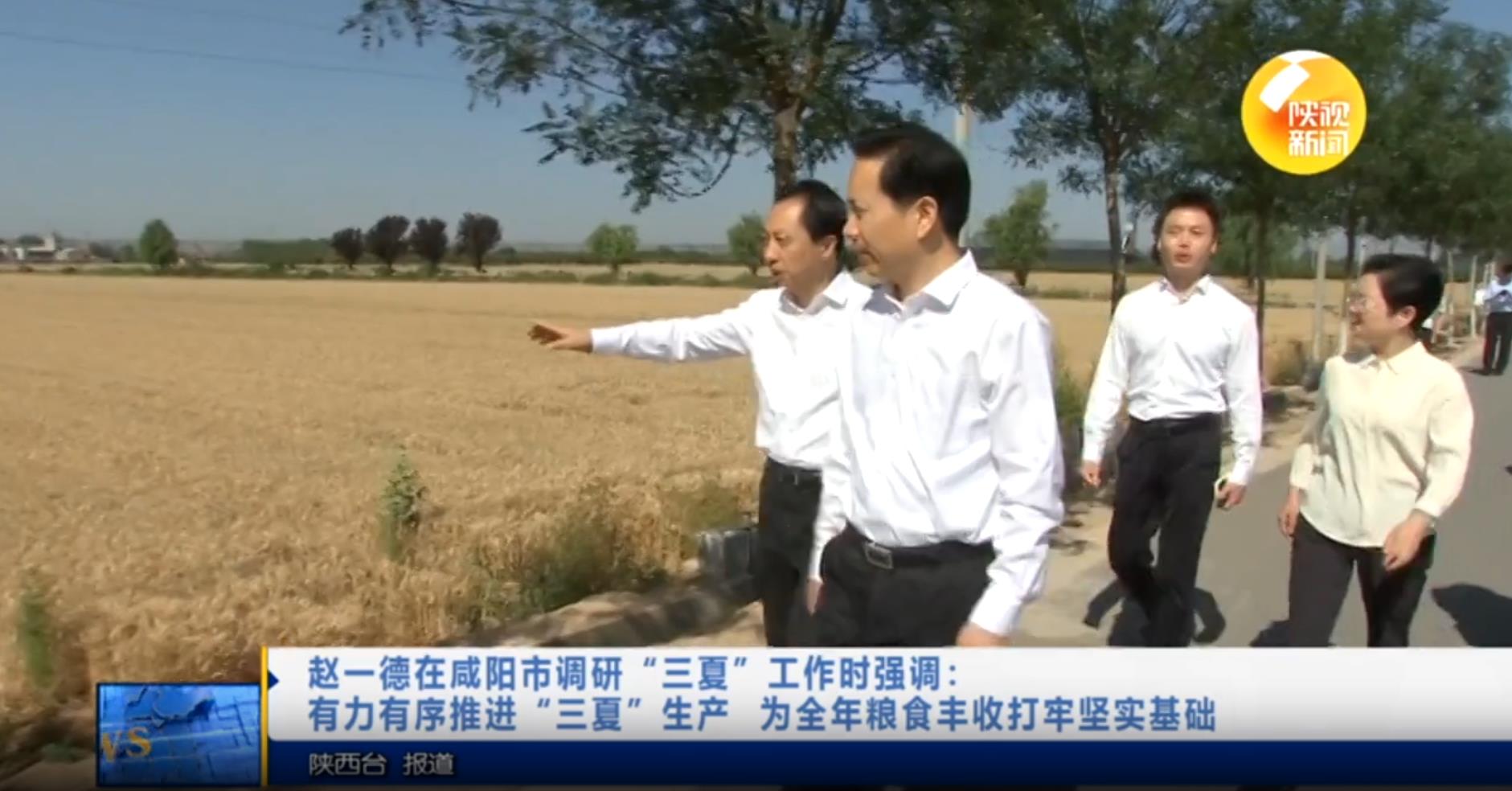【视频新闻】赵一德在咸阳市调研“三夏”工作时强调：有力有序推...