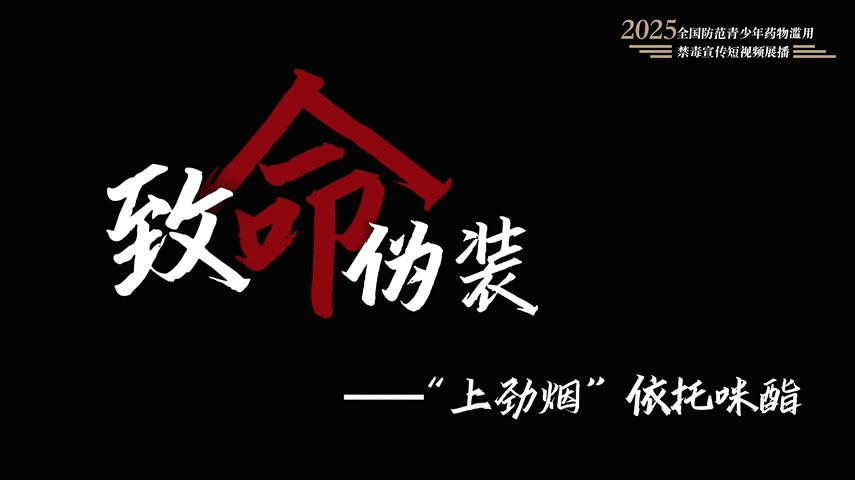 全民禁毒宣传月作品展播｜《致命伪装》