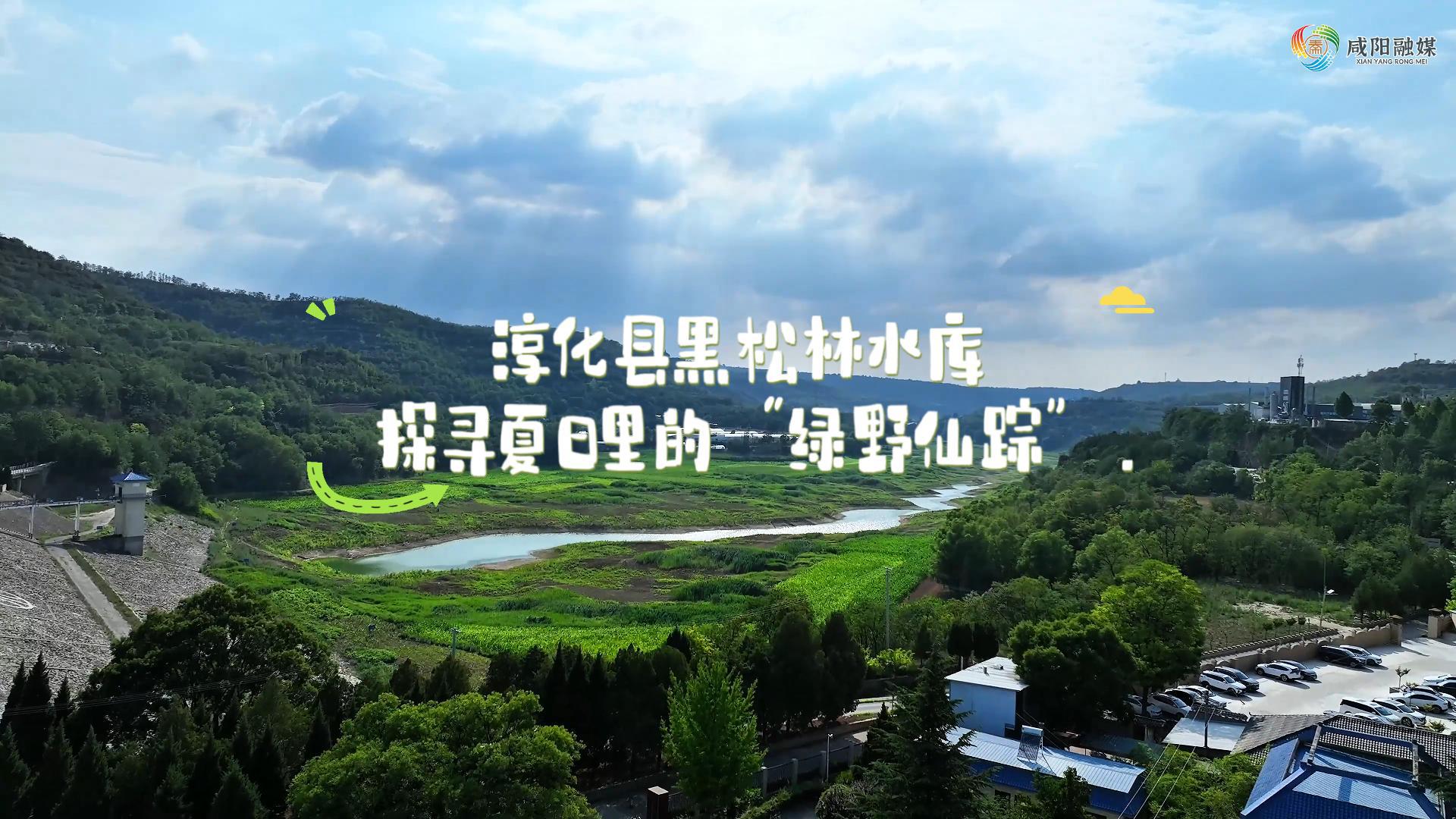 【视频】走进大美咸阳 | 淳化县黑松林水库：探寻夏日里的“绿野...