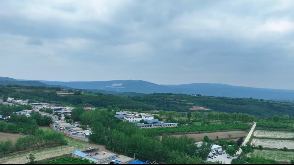 【视频】走进大美咸阳 | 淳化县：盛夏乡村 所见皆可入诗