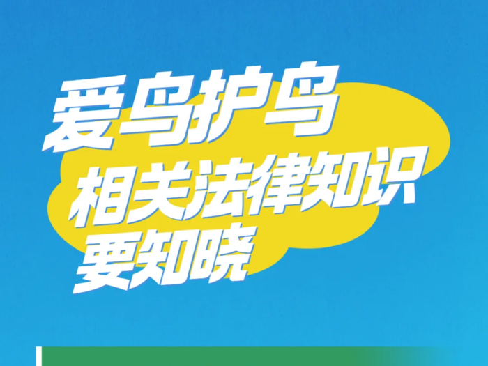 一图读懂爱鸟护鸟相关法律知识