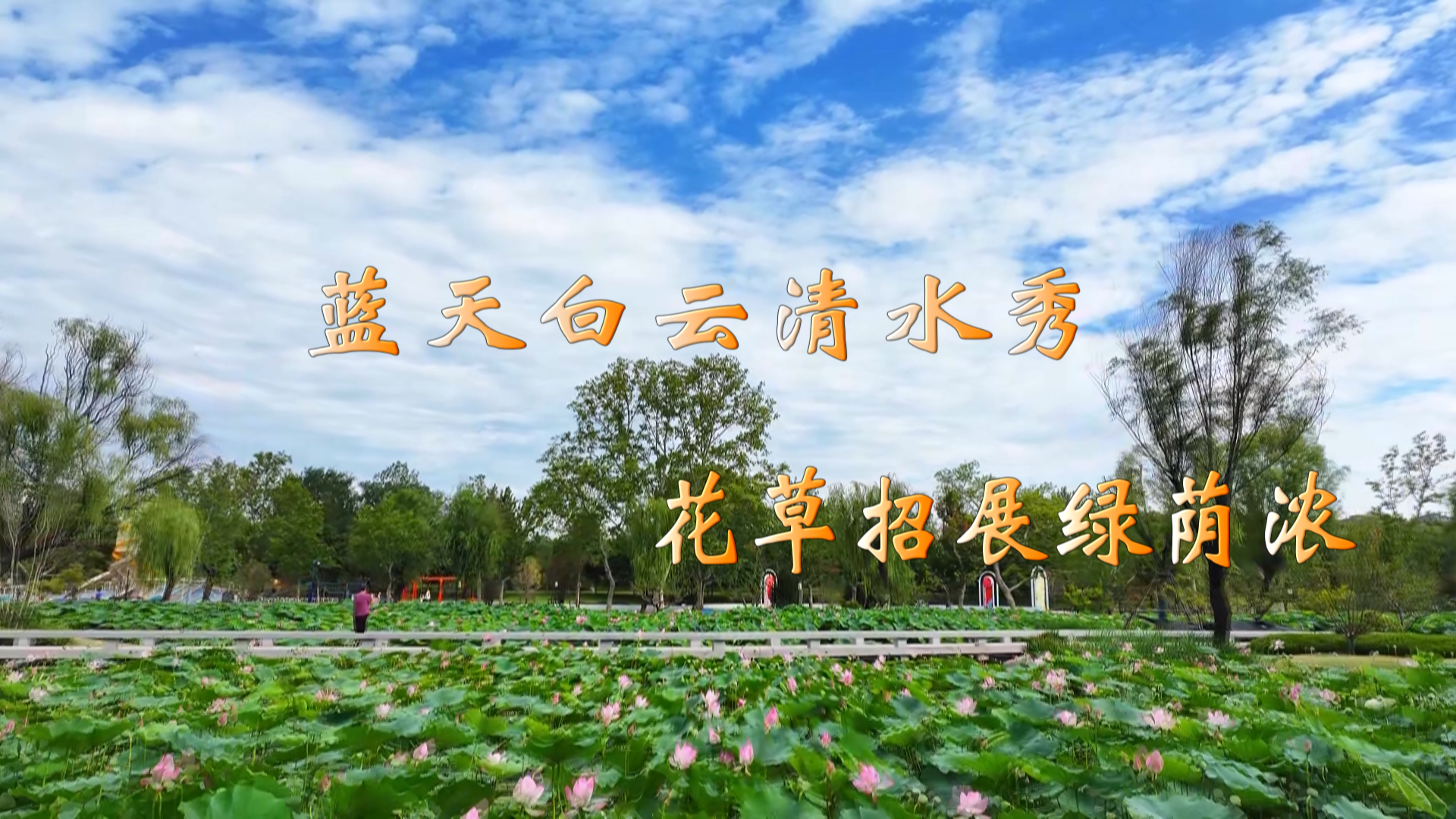 航拍夏日公园：蓝天白云清水秀    花草招展绿荫浓