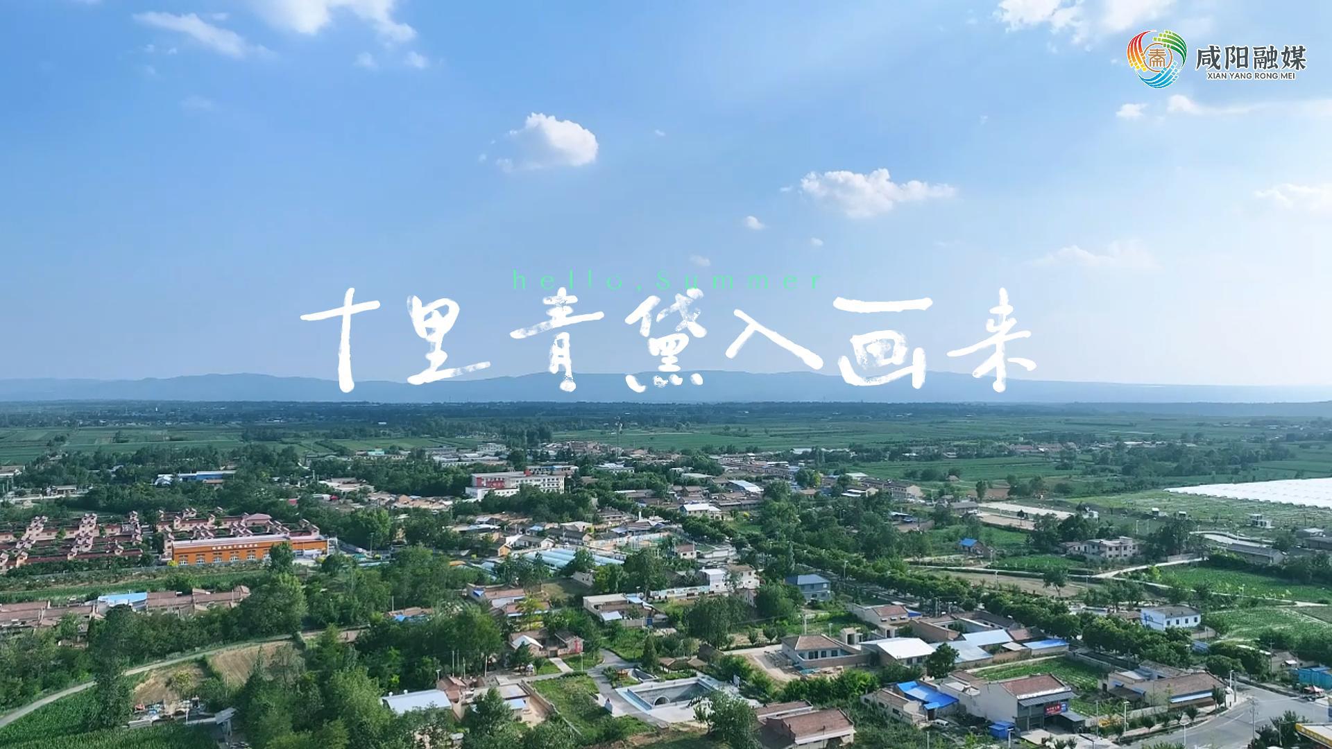 【视频】走进大美咸阳 | 淳化县：十里青黛入画来