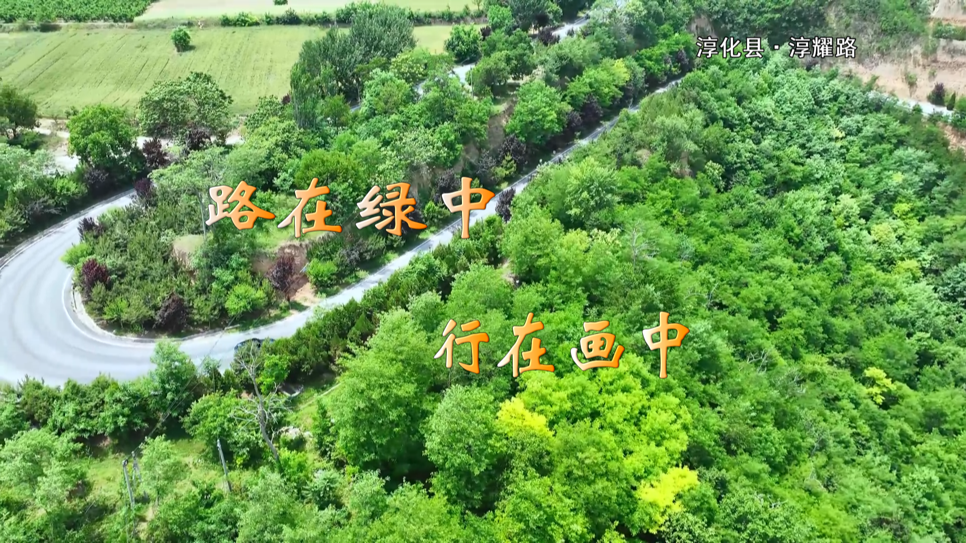 路在绿中 行在画中