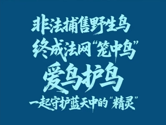 愛(ài)鳥(niǎo)護(hù)鳥(niǎo)這些法律條款要記好！
