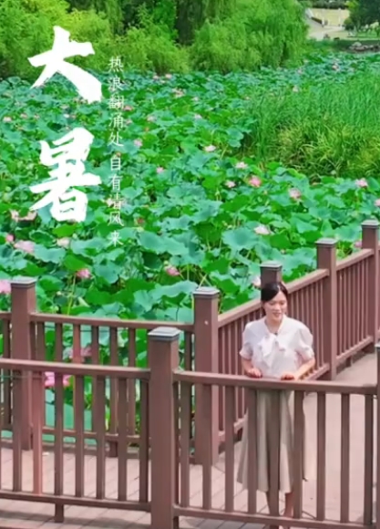 【视频】大暑｜热浪翻涌处 自有清风来