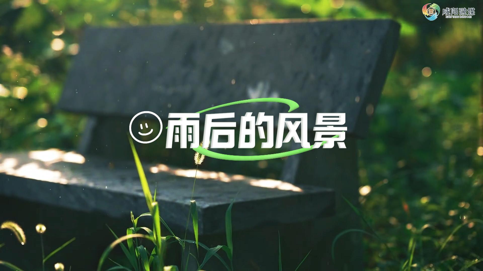 【视频】走进大美咸阳 | 淳化：雨后的风景