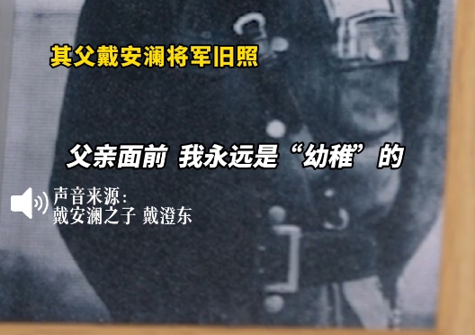 戴安澜幼子用微信名缅怀父亲