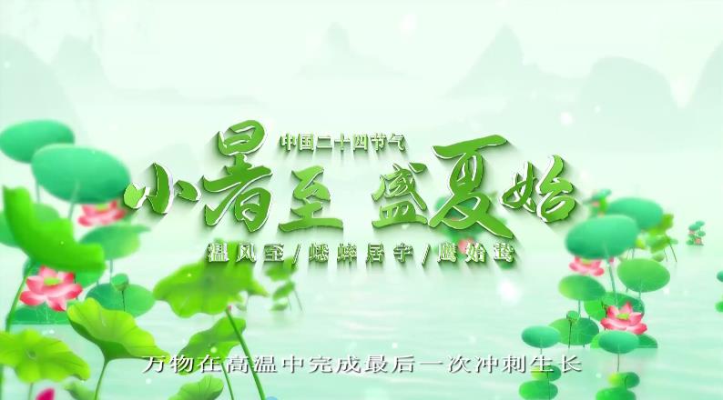 【视频】节气有约 | 中国传统文化二十四节气——小暑