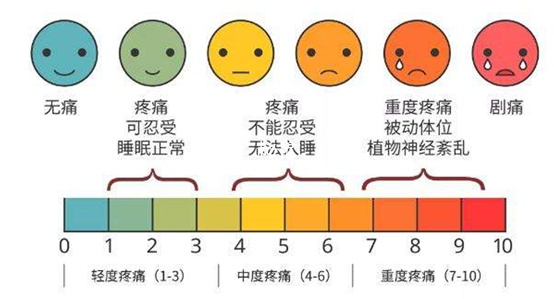 医学科普丨腹痛：身体的无声警报，你读懂了吗？