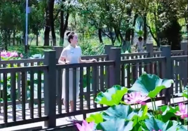 【视频】绿树浓荫 时至小暑