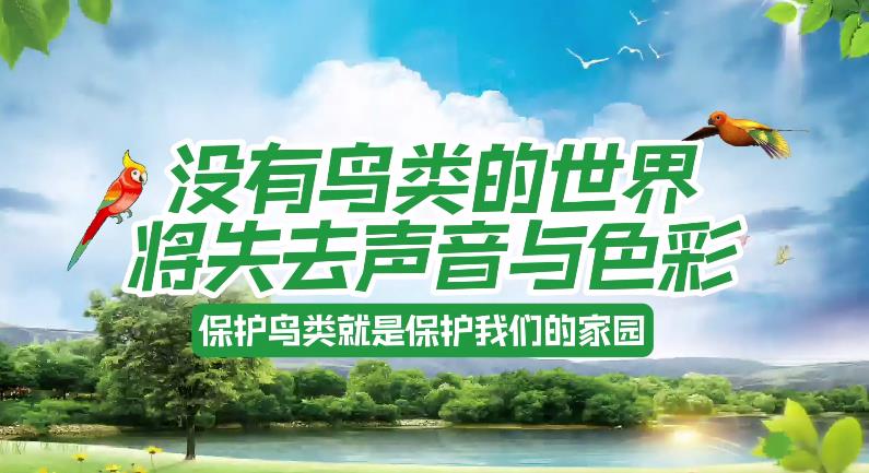 【视频】如果鸟类会罢工......