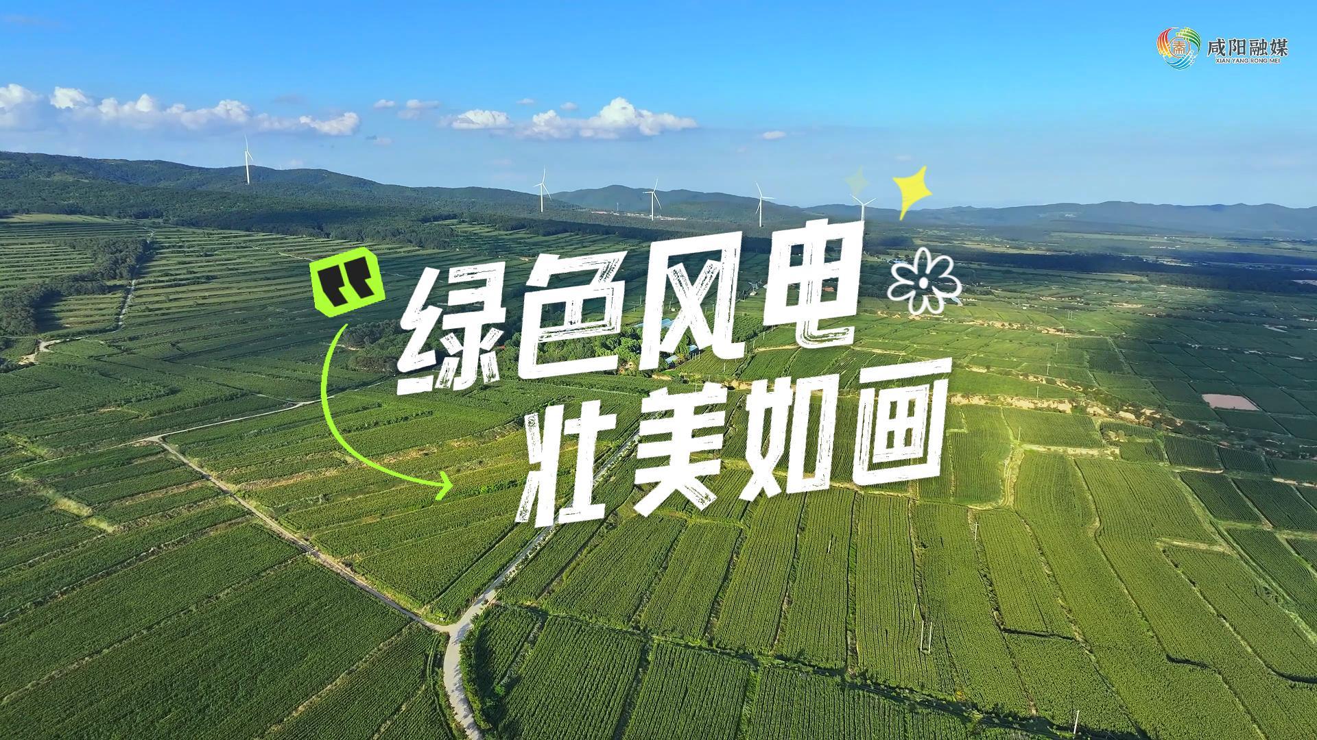 【视频】走进大美咸阳 | 绿色风电 壮美如画