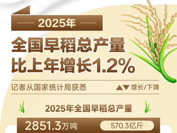 2025年全国早稻总产量比上年增长1.2%
