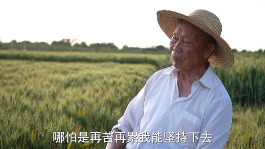 【视频】育种专家梁增基：一颗“粮心”扎根渭北65载