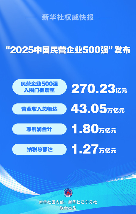 大显身手！“2025中国民营企业500强”发布
