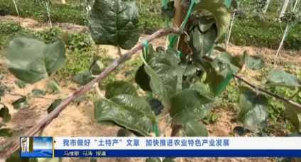 【视频新闻】我市做好“土特产”文章  加快推进农业特色产业发展