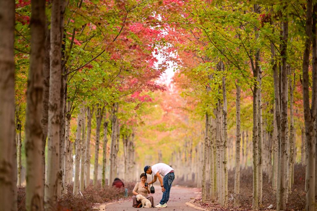 唠“科”话｜入秋就emo “悲秋”情绪怎么破？