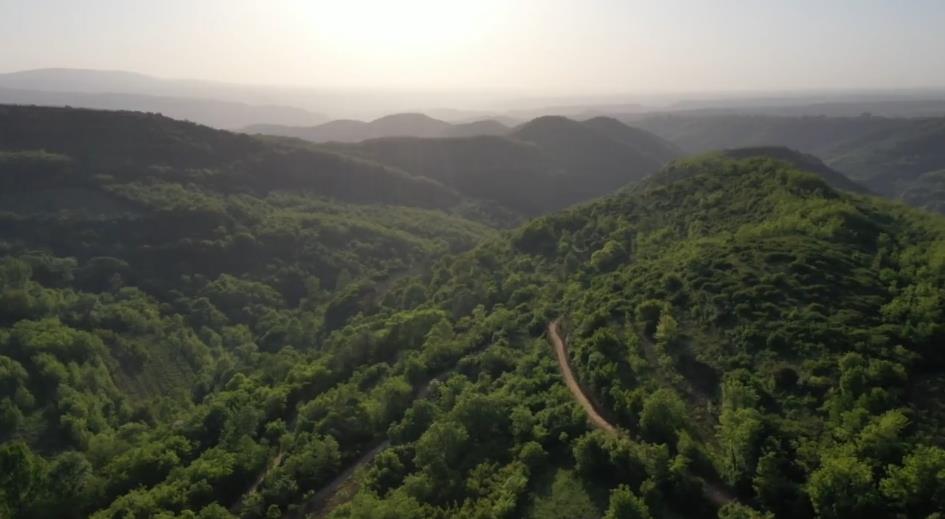 【视频】淳化县：峰峦叠翠色 幽林入画来