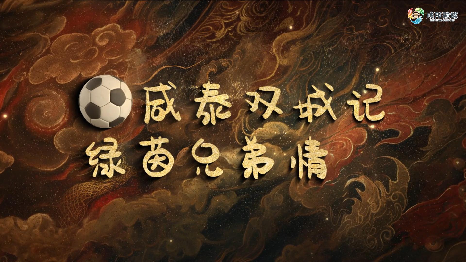 【视频】咸泰双城记，绿茵兄弟情！咸阳文旅携秦嘟嘟来给泰州兄弟...