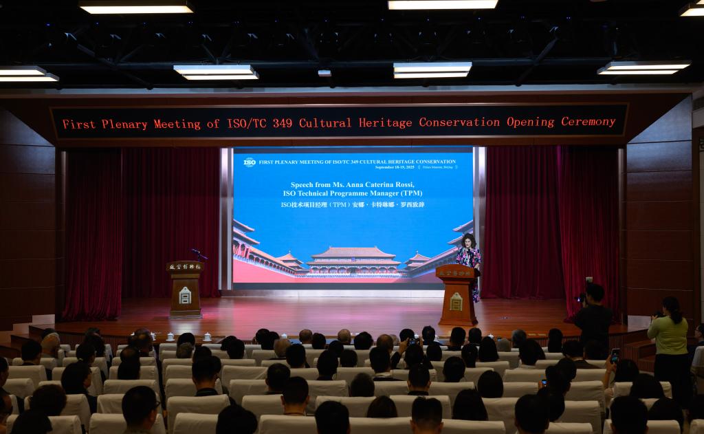 聚焦博物馆文物防震 文化遗产保护领域首个国际标准立项