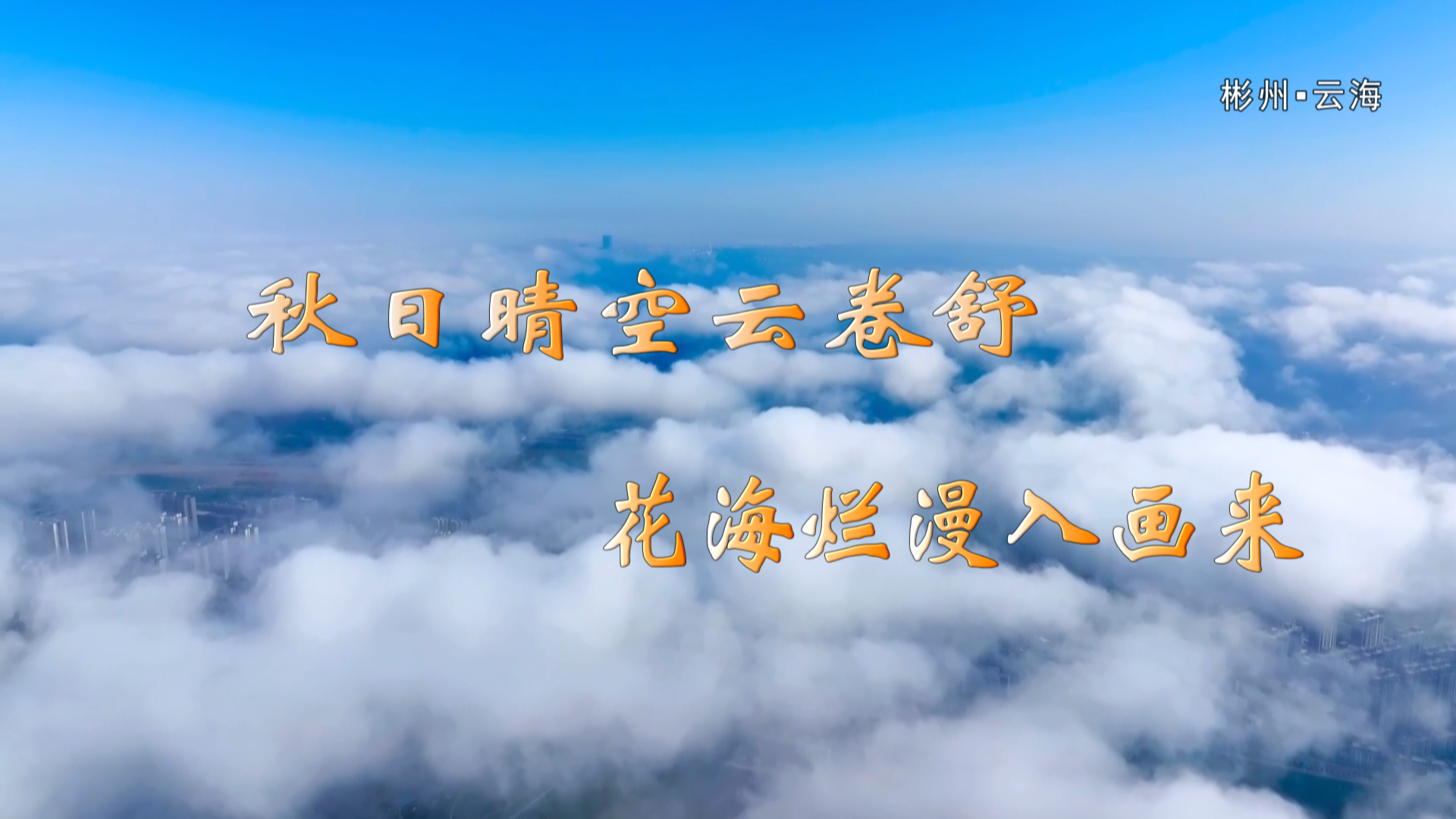 秋日晴空云卷舒 花海烂漫入画来